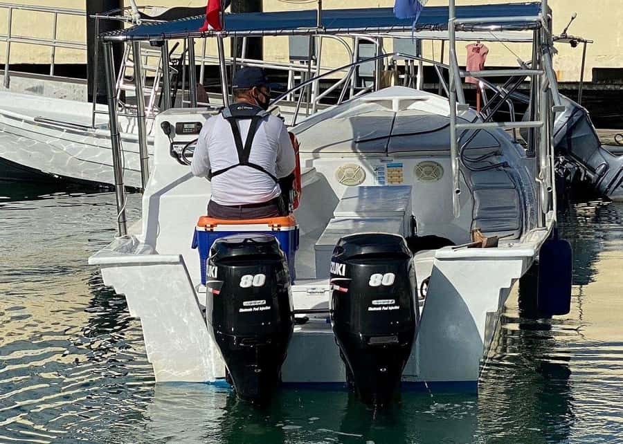 Cabo San Lucas: Whale Watching/Hearing Tour with Hydrophones - Starting at Cabo San Lucas Cruise Port for a Scenic Boat Ride