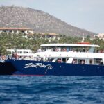 Cabo San Lucas Whale Watching Lunch Cruise - Watching Whales in Their Natural Habitat