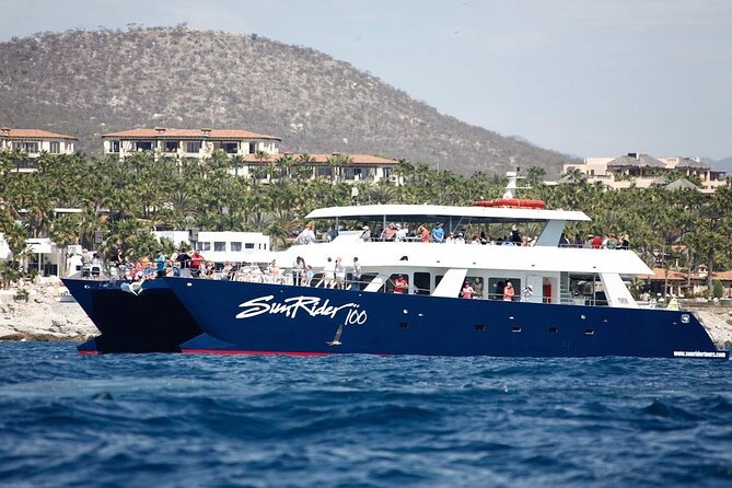 Cabo San Lucas Whale Watching Lunch Cruise - Watching Whales in Their Natural Habitat