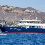 Cabo San Lucas: Whale Watching Tour with Buffet & Open Bar - Departing from Dock #4 at Cabo San Lucas Marina