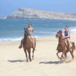 Cabo San Lucas: White Sand Horseback Adventure - Starting at Real Baja Tours and Meeting the Guides
