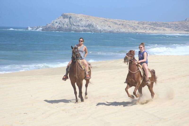 Cabo San Lucas: White Sand Horseback Adventure - Starting at Real Baja Tours and Meeting the Guides