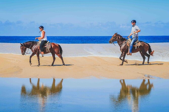 Cabo Shore Excursion: Beach Horseback Ride & Tequila Tasting - Exploring Migrino Beach and Desert Terrain