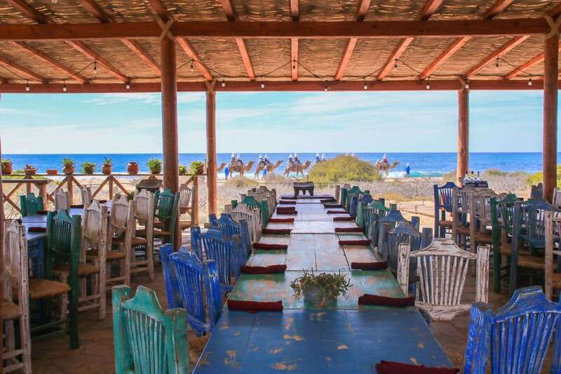 Cabo: Todo Santos Tour with Camel Ranch, Tequila and Lunch - The Journey from Cabo to Todos Santos