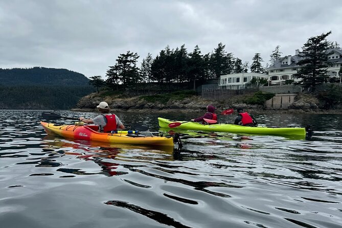 Cafes and Kayaks: Full Day Kayaking Adventure on Orcas Island - Wildlife Viewing in Cascade Bay