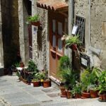 Cagliari Private Walking Tour With A Professional Guide - Discovering the Castello Districts Charm