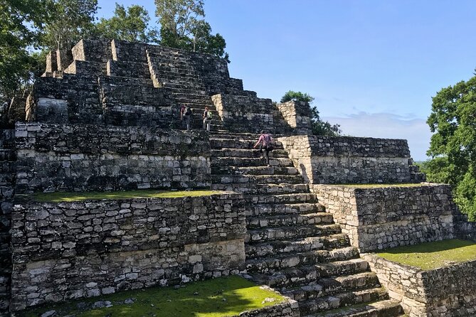 Calakmul, Ancient Maya City from Bacalar or Chetumal - Scenic Drive into the Calakmul Biosphere Reserve
