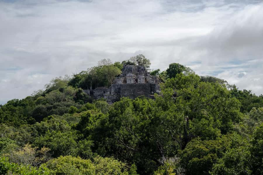 Calakmul Tour: Among Animals and Mayan History - Starting Points and Transport Logistics