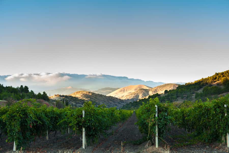 Calaveras/Tuolumne Digital Wine Tasting Passport - Discover the Region’s Historic Wineries in Calaveras and Tuolumne