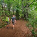 Caldeirão Verde Levadas Walk in Madeira - The Tour Starts With a Convenient Hotel Pickup in Funchal