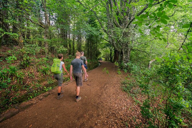 Caldeirão Verde Levadas Walk in Madeira - The Tour Starts With a Convenient Hotel Pickup in Funchal