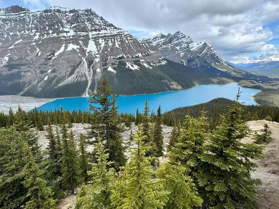 Calgary Banff: Columbia Icefield, Skywalk, and Lakes DayTour - Starting Points and Departure Times in Major Locations