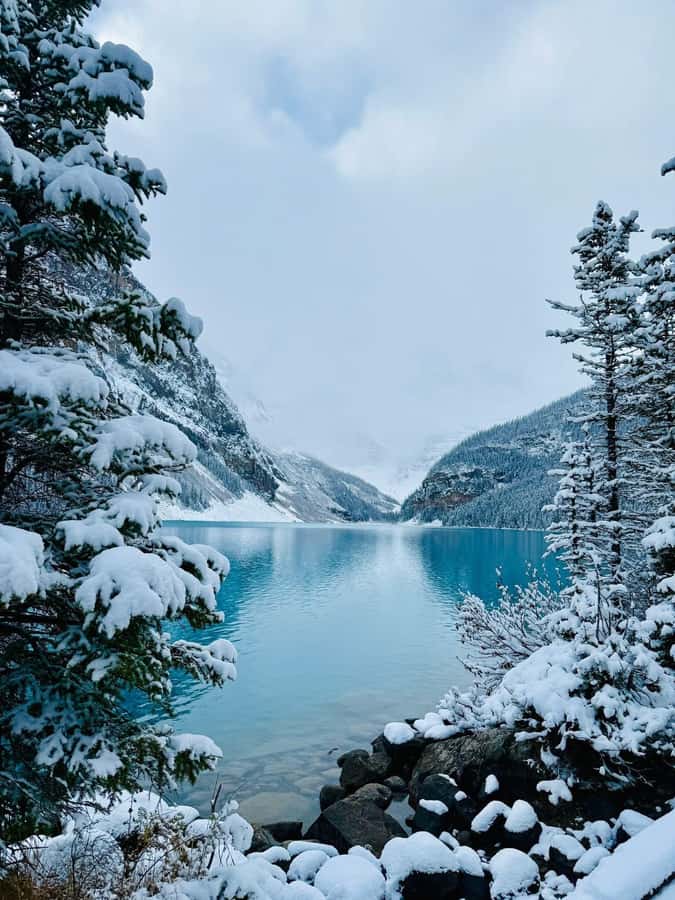 Calgary, Banff: Lake louise , Moraine ,Emerald Lake day Tour - Discovering the Best Lakes of Banff National Park