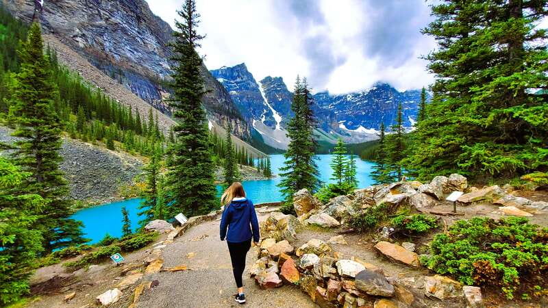 Calgary: Glaciers, Mountains, Lakes, Canmore and Banff Tour - Visiting Peyto Lake Lookout for Iconic Views