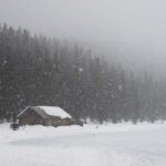 Calgary: Marble Canyon Icefalls & Lake Louise Guided Tour - Scenic Drive and Rocky Mountain Views at the Hidden Gem