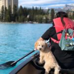 Calgary Shuttle: Lake Louise, Banff & Johnston Canyon Tour - From Multiple Calgary Pickup Points to the Heart of Banff National Park