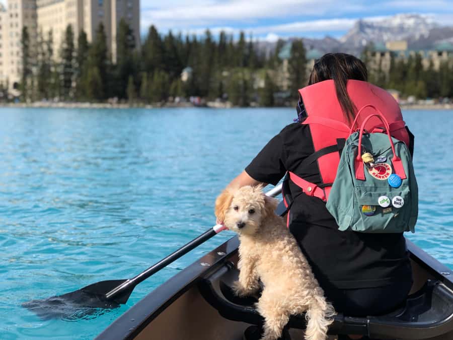 Calgary Shuttle: Lake Louise, Banff & Johnston Canyon Tour - From Multiple Calgary Pickup Points to the Heart of Banff National Park