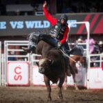 Calgary Stampede Afternoon Rodeo - The Calgary Stampede: A World-Famous Rodeo Festival