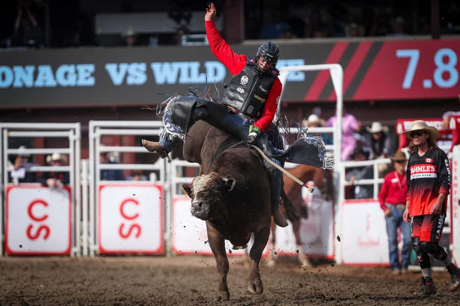 Calgary Stampede Afternoon Rodeo - The Calgary Stampede: A World-Famous Rodeo Festival