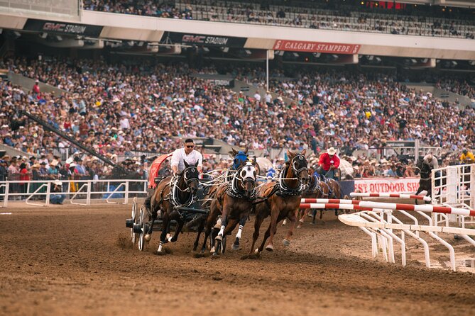 Calgary Stampede Evening Show - What You Experience at Calgary Stampede Park