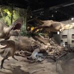 Calgary to Royal Museum | Drumheller  PRIVATE TOUR - Discovering Drumheller’s Town Charm and the World’s Largest Dinosaur