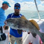 Calm Bay Fishing - What Species Are Targeted in Calm Bay Waters?
