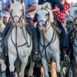 Camargue Small-Group Day Trip from Avignon - The Scenic Route through Camargue’s Landscape