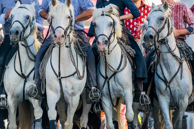 Camargue Small-Group Day Trip from Avignon - The Scenic Route through Camargue’s Landscape