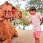 Camel Desert Ride Experience in Cabo - Scenic Paths and Wildlife Encounters