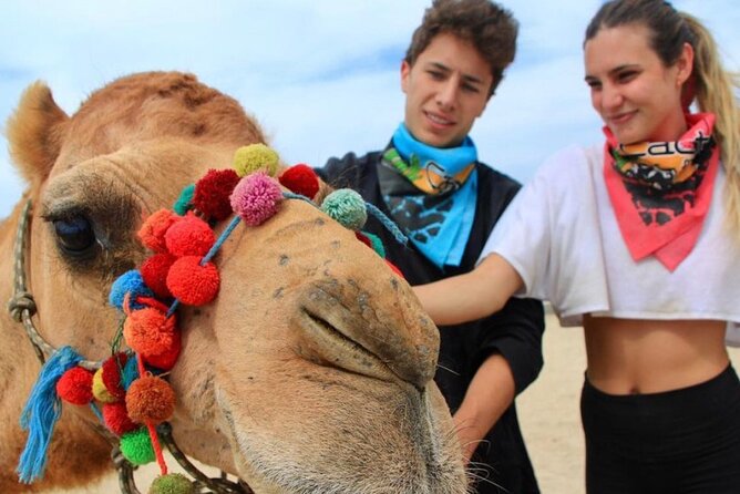 Camel Encounter and Safari Ride. Includes lunch & alcohol tasting - Interacting with Camels: Petting, Feeding, and Learning