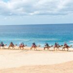 Camel Ride Adventure in Los Cabos Beach Safari & Tequila Tasting - From Playa Migrino to the Camel Sanctuary