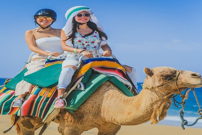 Camel Ride & ATV Combo in Migriño, Mexico - Starting Point: Convenient Hotel Pickups in Cabo San Lucas