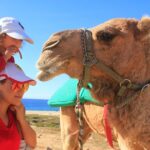 Camel Ride & Encounter at Los Cabos - Exploring the Ecological Reserve for Native Plants and Wildlife
