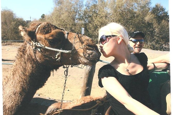 Camel riding in the dunes of Maspalomas - Booking and Ticket Flexibility