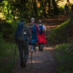 Camino de Santiago Portuguese from Tui to Santiago de Compostela - Walking from Tui to Porrino: Charming Urban Stroll