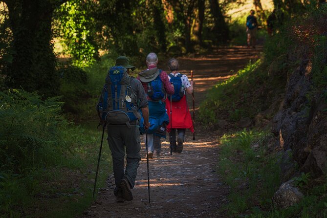 Camino de Santiago Portuguese from Tui to Santiago de Compostela - Walking from Tui to Porrino: Charming Urban Stroll