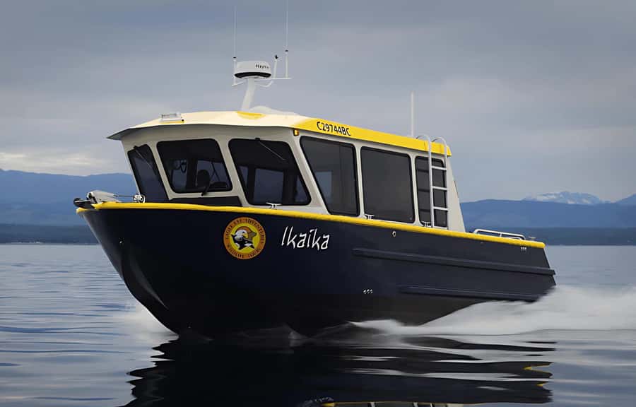 Campbell River: 4 Hour Whale & Wildlife Tour by Covered Boat - Starting Point at Coast Marina in Campbell River