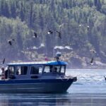 Campbell River: Grizzly Bear Expedition with Lunch - The Wildlife Environment and Natural Setting