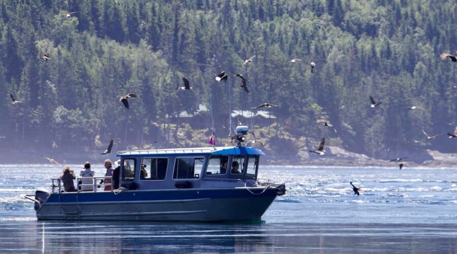Campbell River: Grizzly Bear Expedition with Lunch - The Wildlife Environment and Natural Setting
