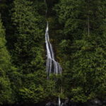 Campbell River: Spring Bear Watching & Waterfalls Boat Tour - The Starting Point at Discovery Harbour Marina