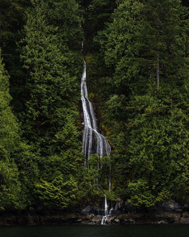 Campbell River: Spring Bear Watching & Waterfalls Boat Tour - The Starting Point at Discovery Harbour Marina