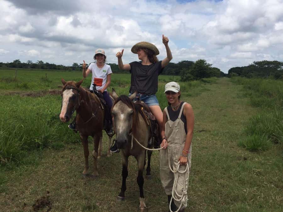 Campeche: Palenque, Sabancuy, & Palizada 2-Day Tour - From Campeche to the Enchanting Yucatan Peninsula
