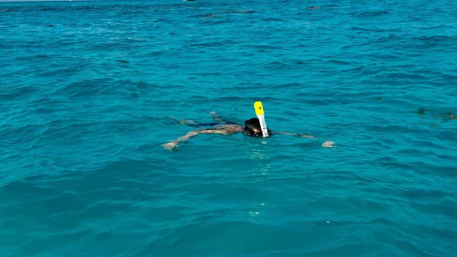 Cancun: 4-Hour Snorkeling Adventure for All Ages - Boat and Equipment Details