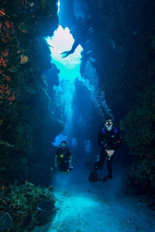 Cancun: Angelfish Discovery Package - How the Tour Starts with Expert Guidance and Equipment Provision