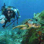 Cancun: Beginner Scuba Diving at Underwater Museum - Starting Your Adventure at Coconut Divers in Cancun