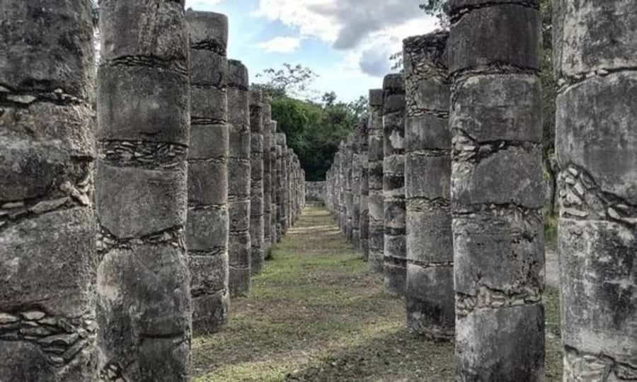 Cancun : Best Street Food Tour With A Local Guide - Exploring Bonampak Murals and Cultural Significance