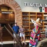 Cancun: Bus Tour - City Adventure around the Best Stops - Cancun’s Iconic Playa Delfines and Its Scenic Views