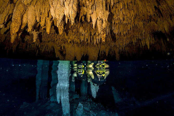 Cancun Cenote Tour: Snorkeling, Rappelling and Ziplining - Meet the Tour in Cancun at Oh! Cancun The Urban Oasis