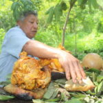 Cancun: Chichen Itza & Yaxunah Ruins Private Tour & Cenote - Exploring Chichen Itza: The Iconic Kukulcan Pyramid and More