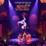 Cancún: Cirque du Soleil JOYÀ Entry Ticket and Transfer - Convenient Roundtrip Transport from Cancún and Playa del Carmen